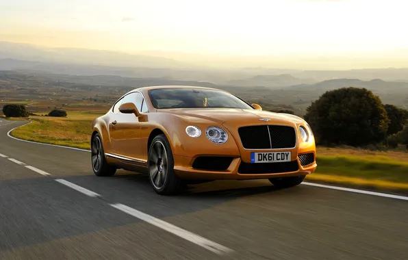 Auto, Bentley, Continental, Road, Lights, Gold, The front, In motion