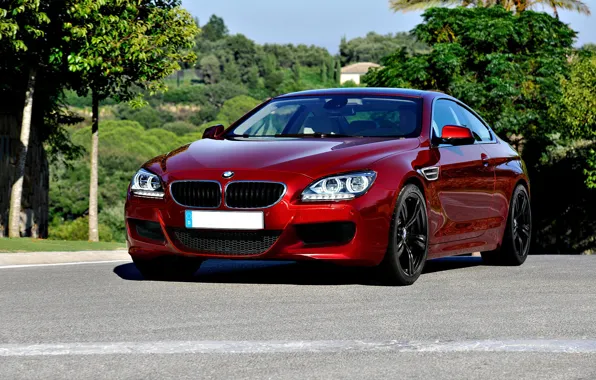 Picture bmw, coupe