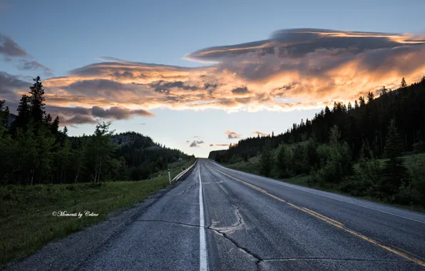 Picture road, nature, morning