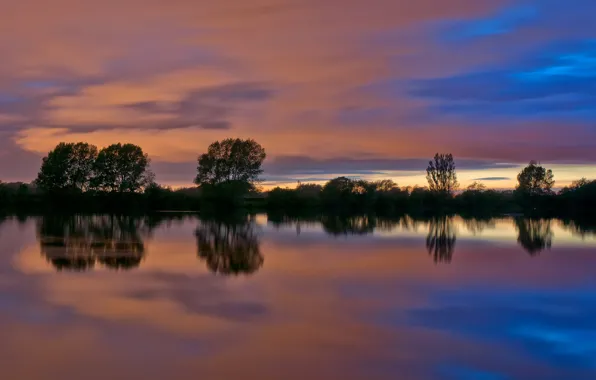 Clouds, trees, lake, England, silhouette, glow, , Said the most likely unfair