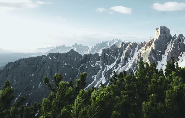 The sky, mountains, branches, the slopes, tops, dal, Alps, haze