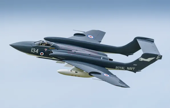 Picture flight, aviation, the plane, Sea Vixen, De Havilland DH.110