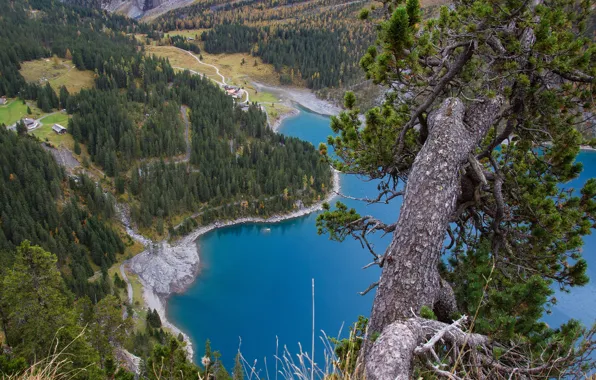 Road, autumn, forest, lake, open, tree, branch, blue