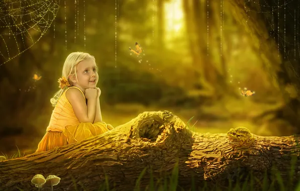 Picture forest, summer, butterfly, frog, girl, trunk, log, gossamer