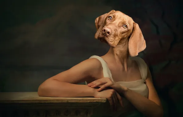Look, girl, pose, the dark background, rendering, table, collage, portrait