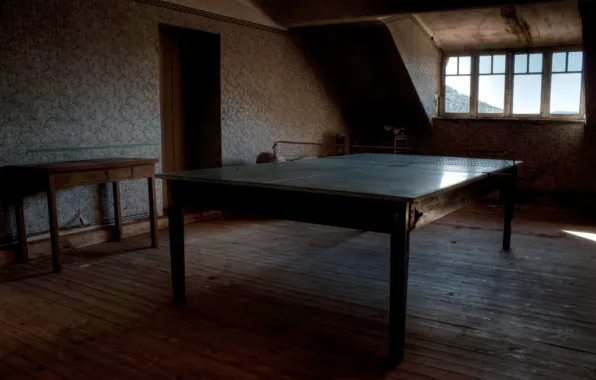 Table, room, sport, interior, tennis