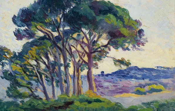 Trees, landscape, picture, 1903, Maximilien Luce, Maximilien Luce, Pine near Le Kanable