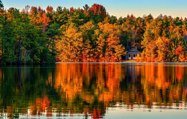 Autumn, forest, trees, landscape, Villa, home, Nature, house