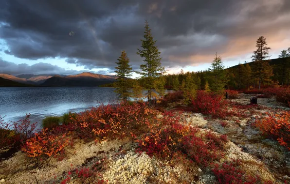 Autumn, forest, light, mountains, clouds, hills, shore, rainbow