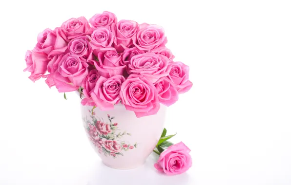 White background, vase, Roses, pink
