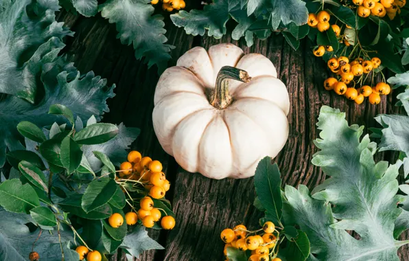 Autumn, white, leaves, branches, yellow, berries, the dark background, Board