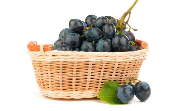 Picture photo, Fruit, Food, Grapes. Basket