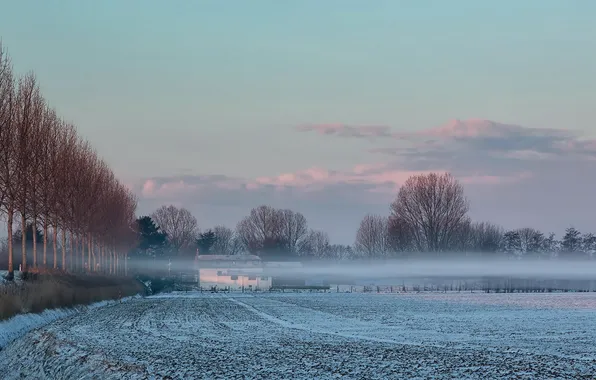 Field, snow, fog, morning