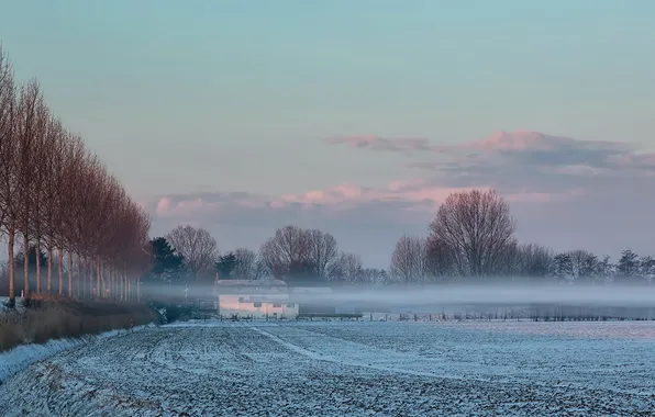 Picture field, snow, fog, morning