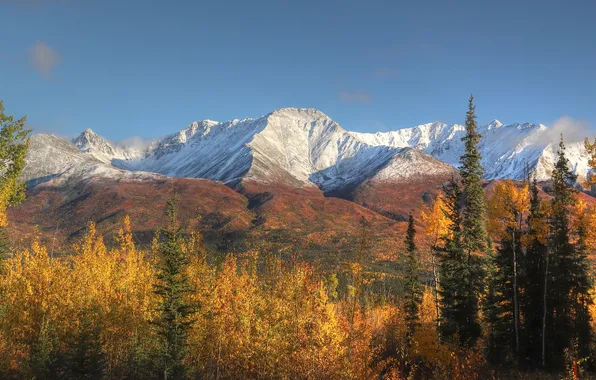 Autumn, forest, light, snow, trees, mountains, blue, foliage