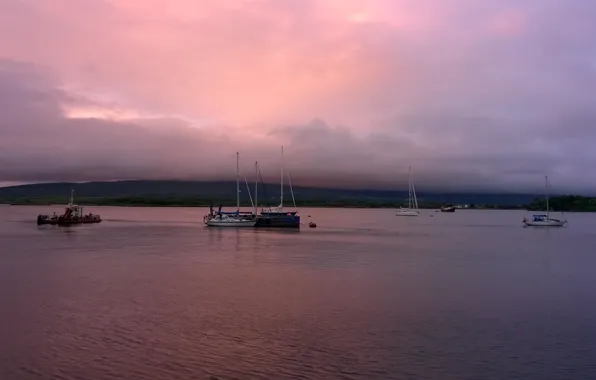 Sunset, lake, Bay, yachts, the evening, Canada, Ontario, Canada