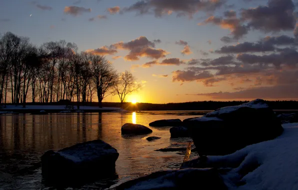 Picture ice, winter, the sun, snow, trees, lake, stones, dawn