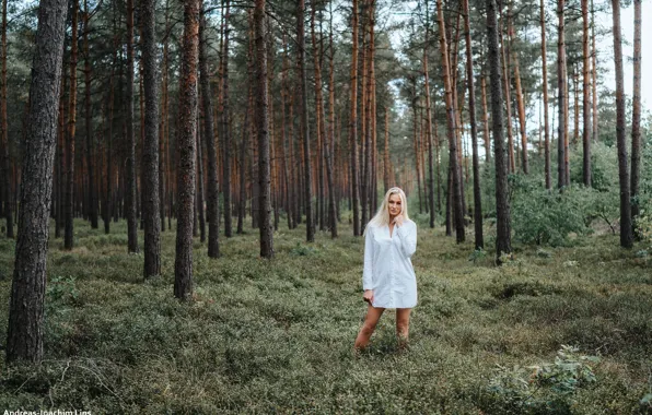 Picture forest, look, trees, model, portrait, makeup, hairstyle, blonde