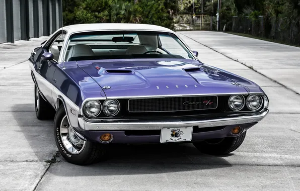 Picture coupe, Dodge, Challenger, Dodge, Coupe, 1970, Challenger, 426