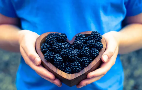 Picture berries, background, hands