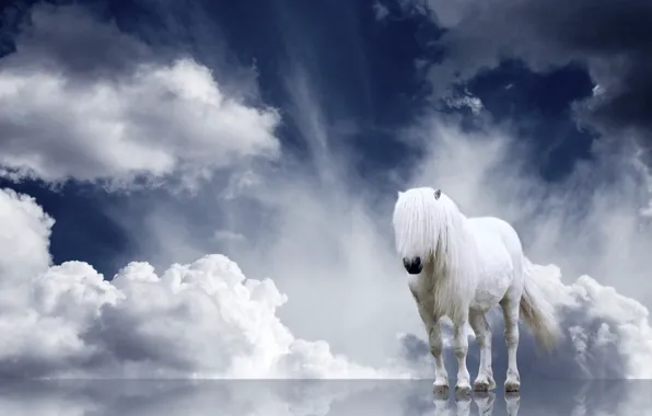 Picture clouds, horse, mane