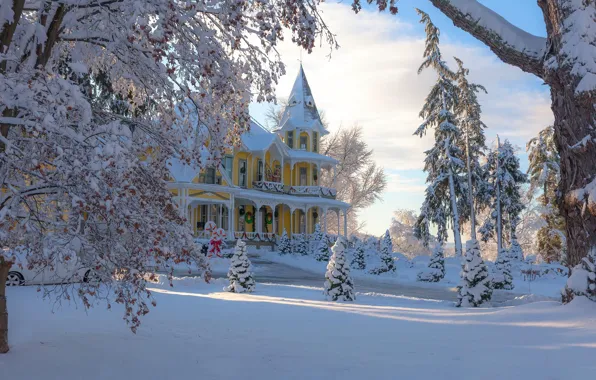 Winter, snow, trees, house, mansion, New Jersey, Antonina Janowska