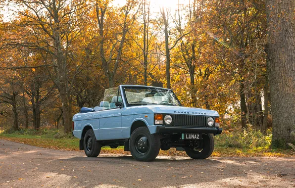 Auto, autumn, Range Rover