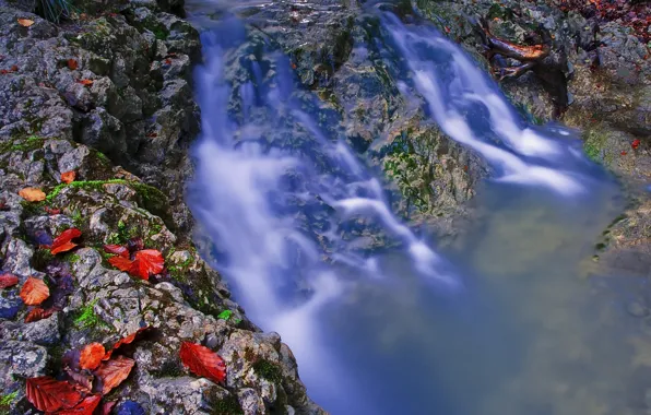 Picture autumn, leaves, water, stream, stones, stream