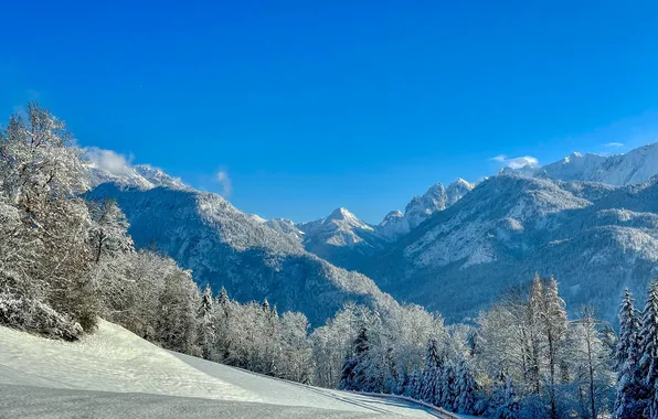 Winter, snow, trees, mountains, morning, frost