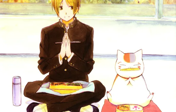 Cat, window, lunch, thermos, Natsume Yuujinchou, The Natsume book of friendship, Bento, student