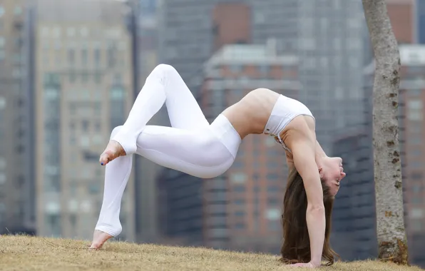 Picture girl, pose, flexibility, figure