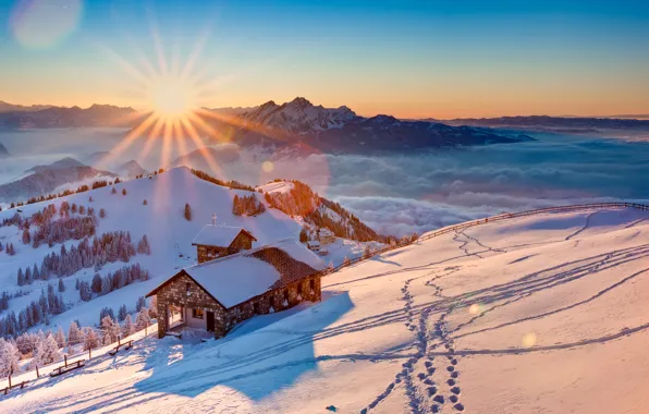 Picture winter, the sky, the sun, snow, trees, mountains, fog, home