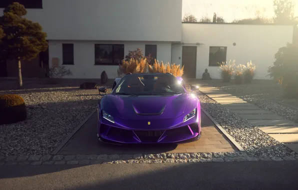 Purple, Tuning, Ferrari, Ferrari, Purple, tuning, Spider, The front