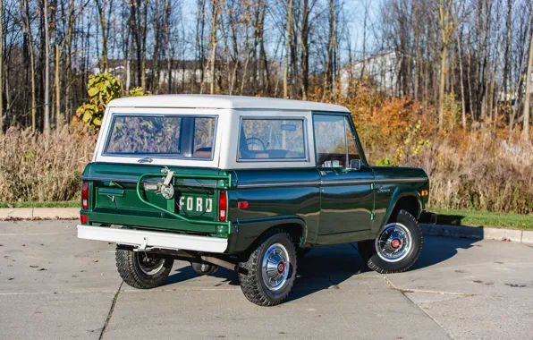 Ford, green, Wagon, 1974, Bronco