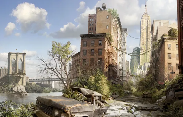Picture destruction, New York, The city