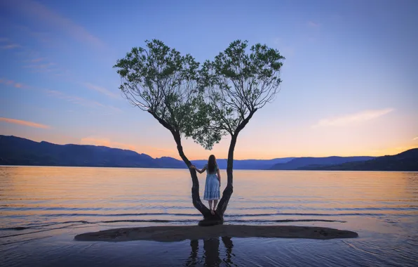 Girl, lake, tree, dress, Home, Lichon