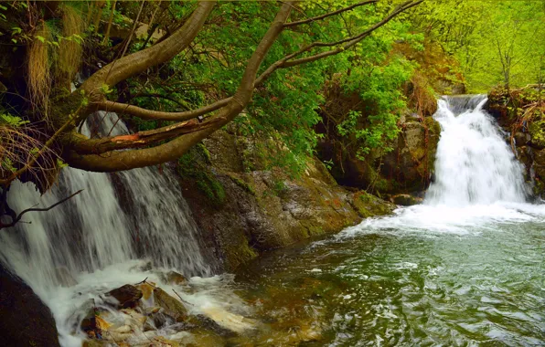 Picture Greens, Spring, Waterfall, Nature, Green, Spring, Waterfall