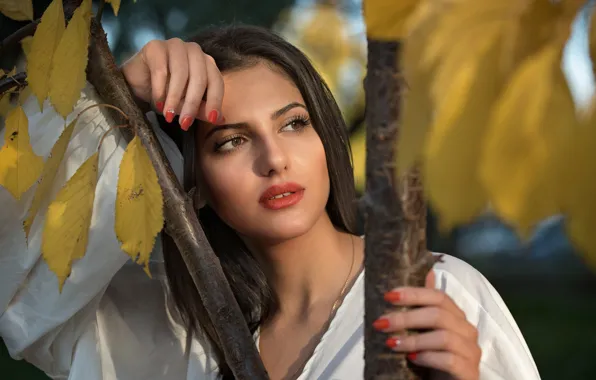 Autumn, look, leaves, girl, branches, nature, makeup, brunette