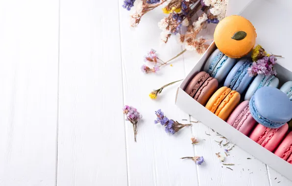Flowers, colorful, flowers, cakes, sweet, dessert, cookies, french