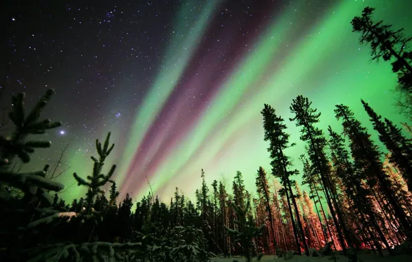 Picture stars, night, nature, Northern lights, Aurora Borealis