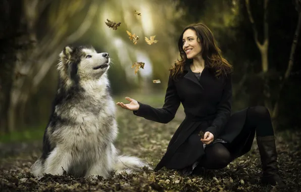 Leaves, girl, each, dog, Malamute