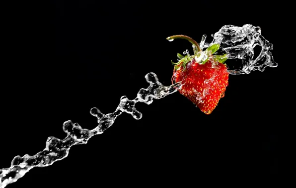 Flight, strawberry, jet