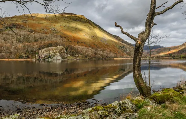 Picture lake, Wales, Snowdonia, Llyn Gwynant