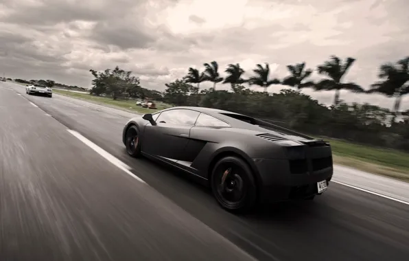 Road, trees, Machine, race