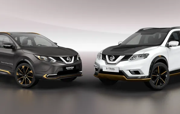 Wallpaper Nissan X Trail Geneva Qashqai Premium Concepts Images For Desktop Section Nissan