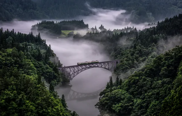Picture forest, mountains, bridge, river, train, Tadam Of The Line In Japan