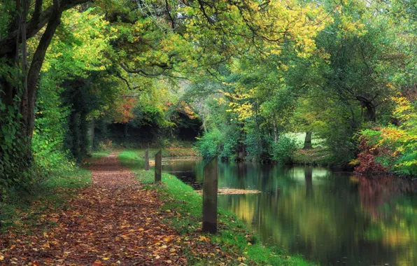 Picture autumn, Park, channel, UK, falling leaves, Wales, Wales, Llanover