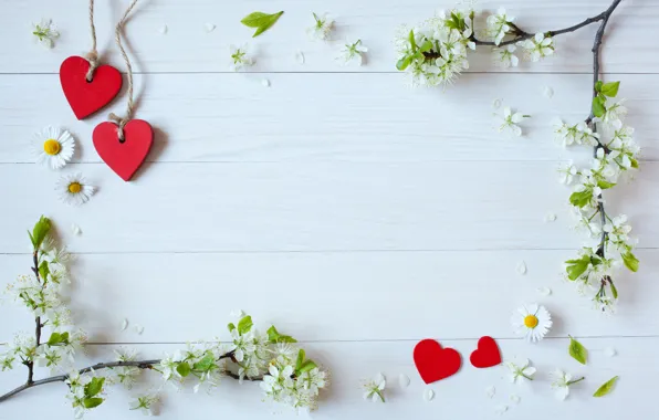 Flowers, branches, holiday, chamomile, hearts