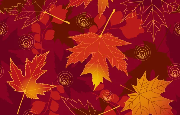 Leaves, background, autumn, leaves, autumn, fall, maple