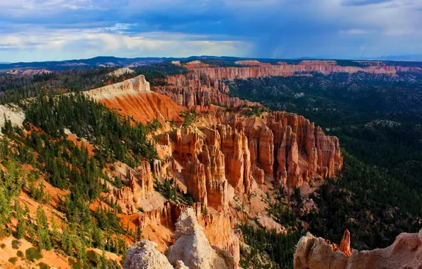 Picture forest, mountains, Bryce Canyon National Park, scree